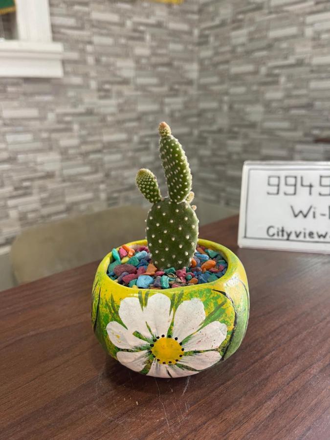 City View Hostel Ташкент Екстериор снимка